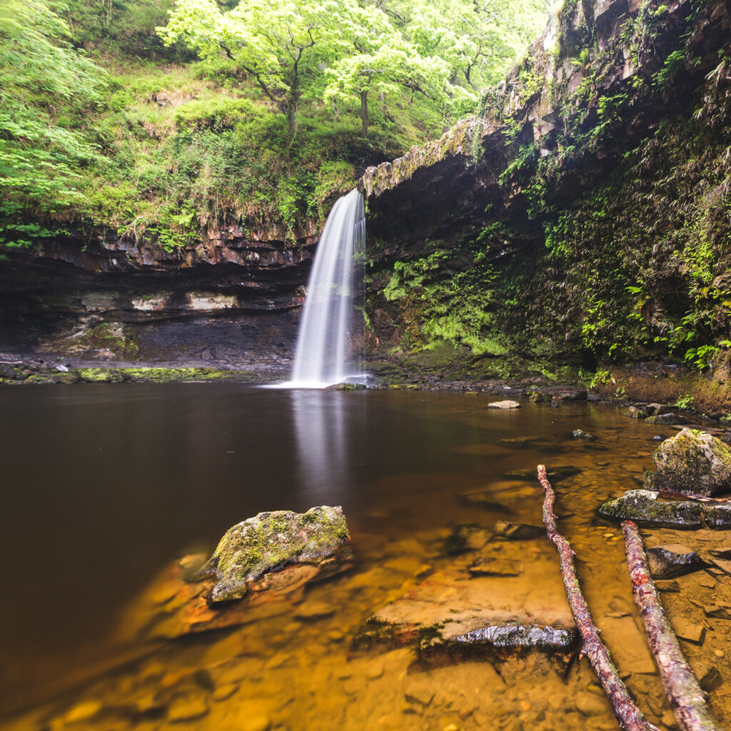 The programs featured image